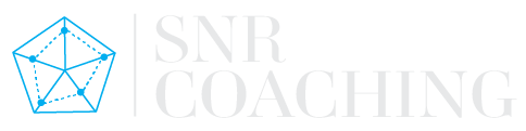 LOGOWEB SNR-03